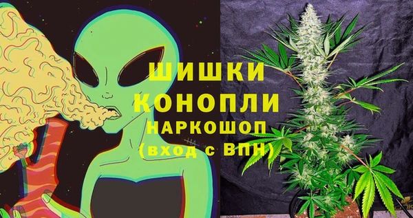 ешки Арсеньев
