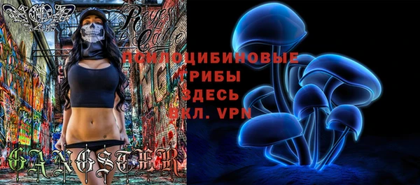 apvp Балабаново